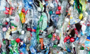 Protestors and Plastics