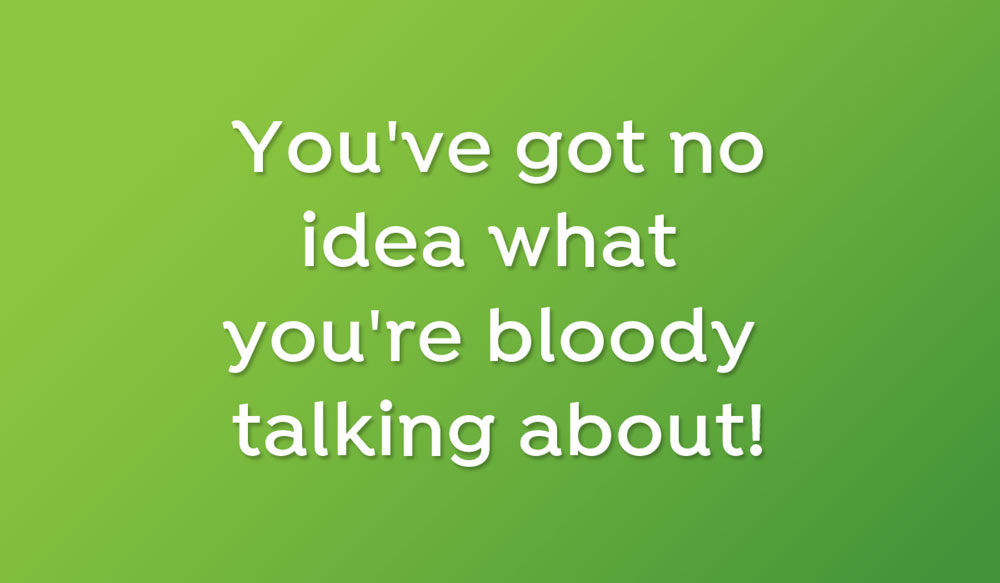 You've got no idea what you're bloody talking about!